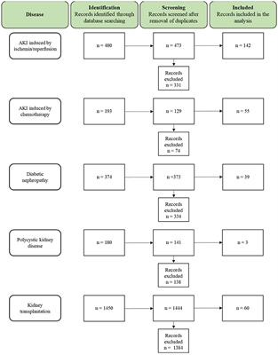 Stem/Stromal Cells for Treatment of Kidney Injuries With Focus on Preclinical Models